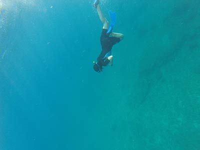 snorkeling